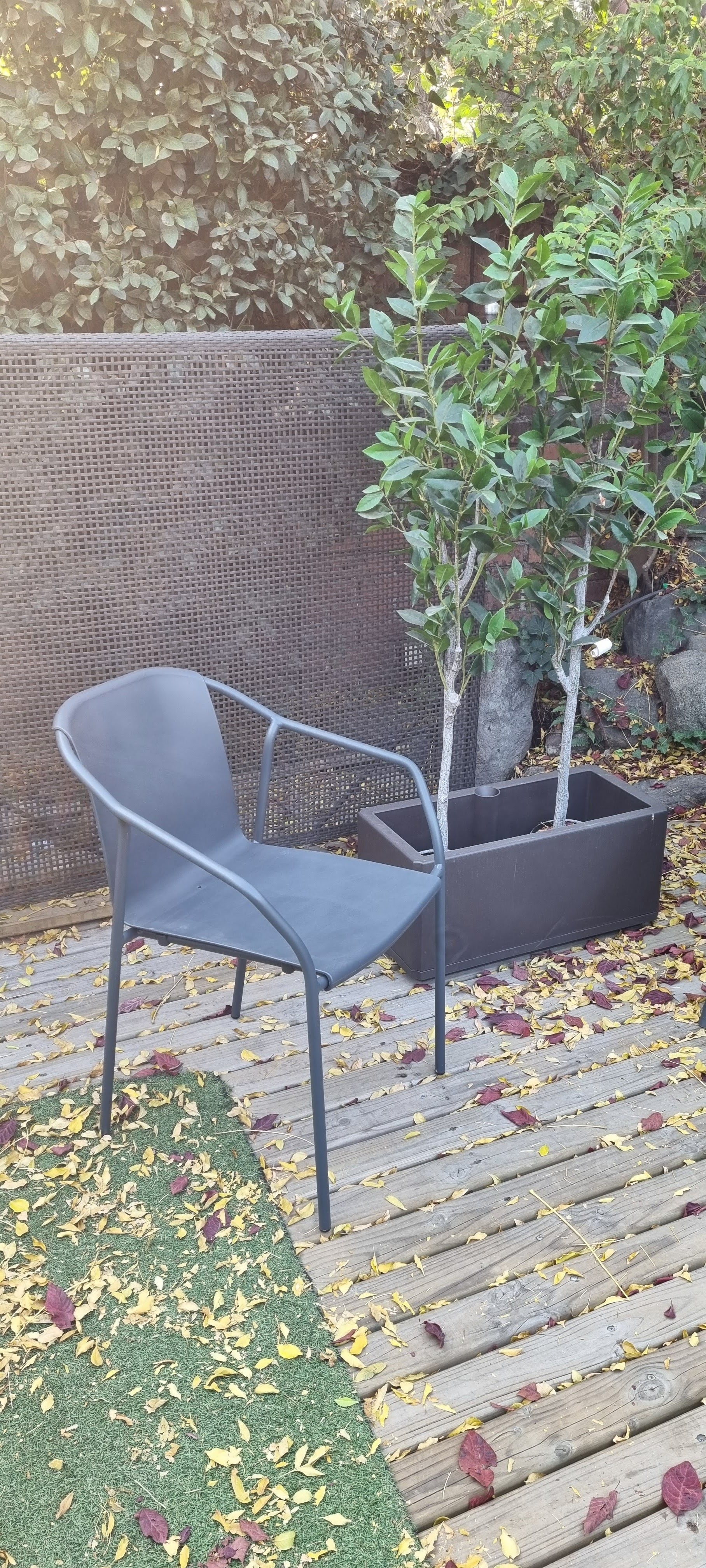 Aluminum Outdoor Arm Chair - Set of 4 - Rodi