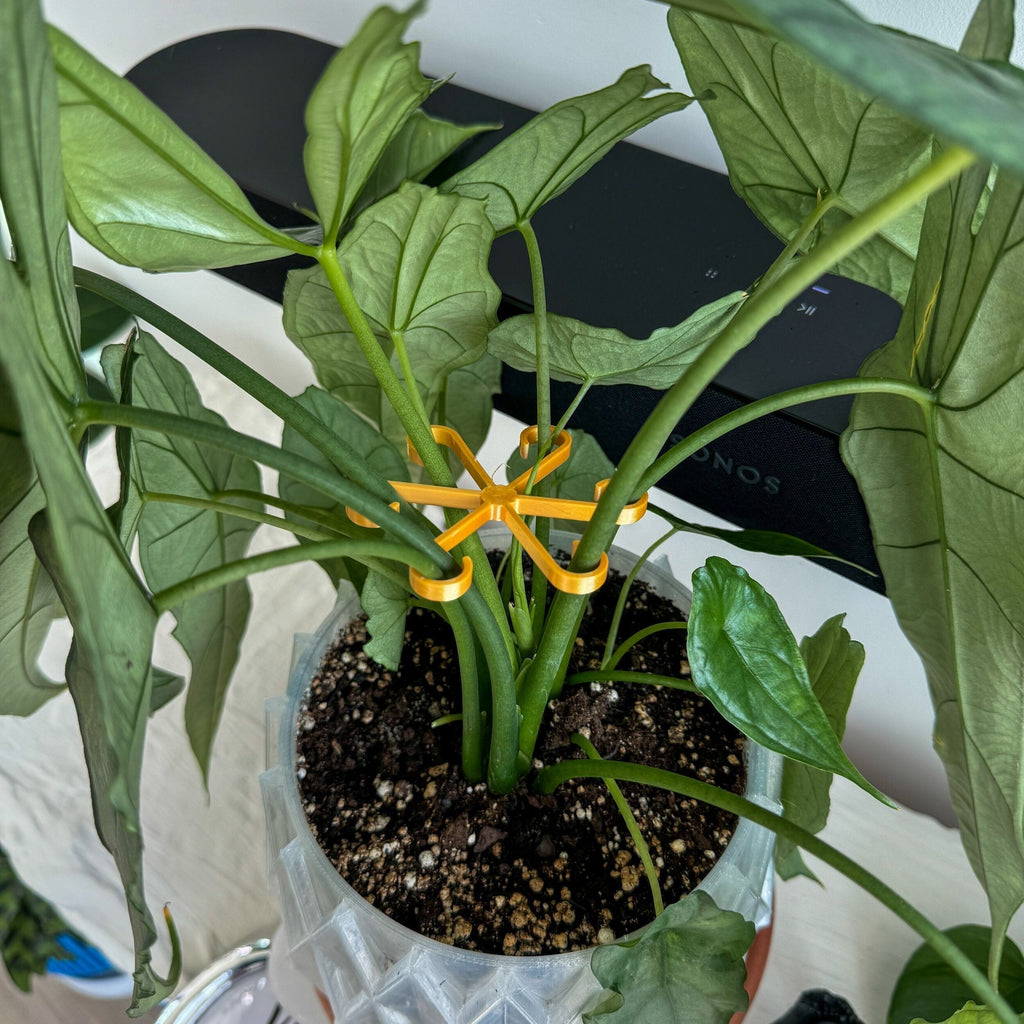 Plant Stem Supports